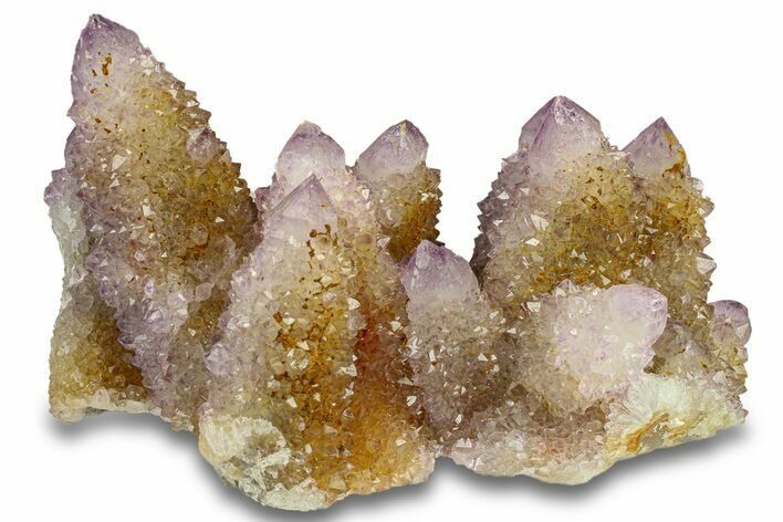 Sparkling Cactus Amethyst Crystal Cluster - South Africa #301879